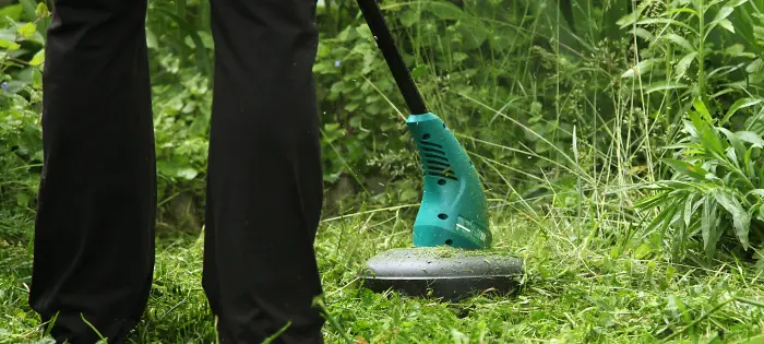 Entretien et débroussaillage dans le Tarn (81)